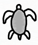 Blinde Schildpad
