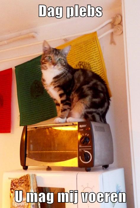 fffc0abf-4d12-4209-8407-5cd3d746918b