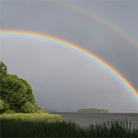 regenboog